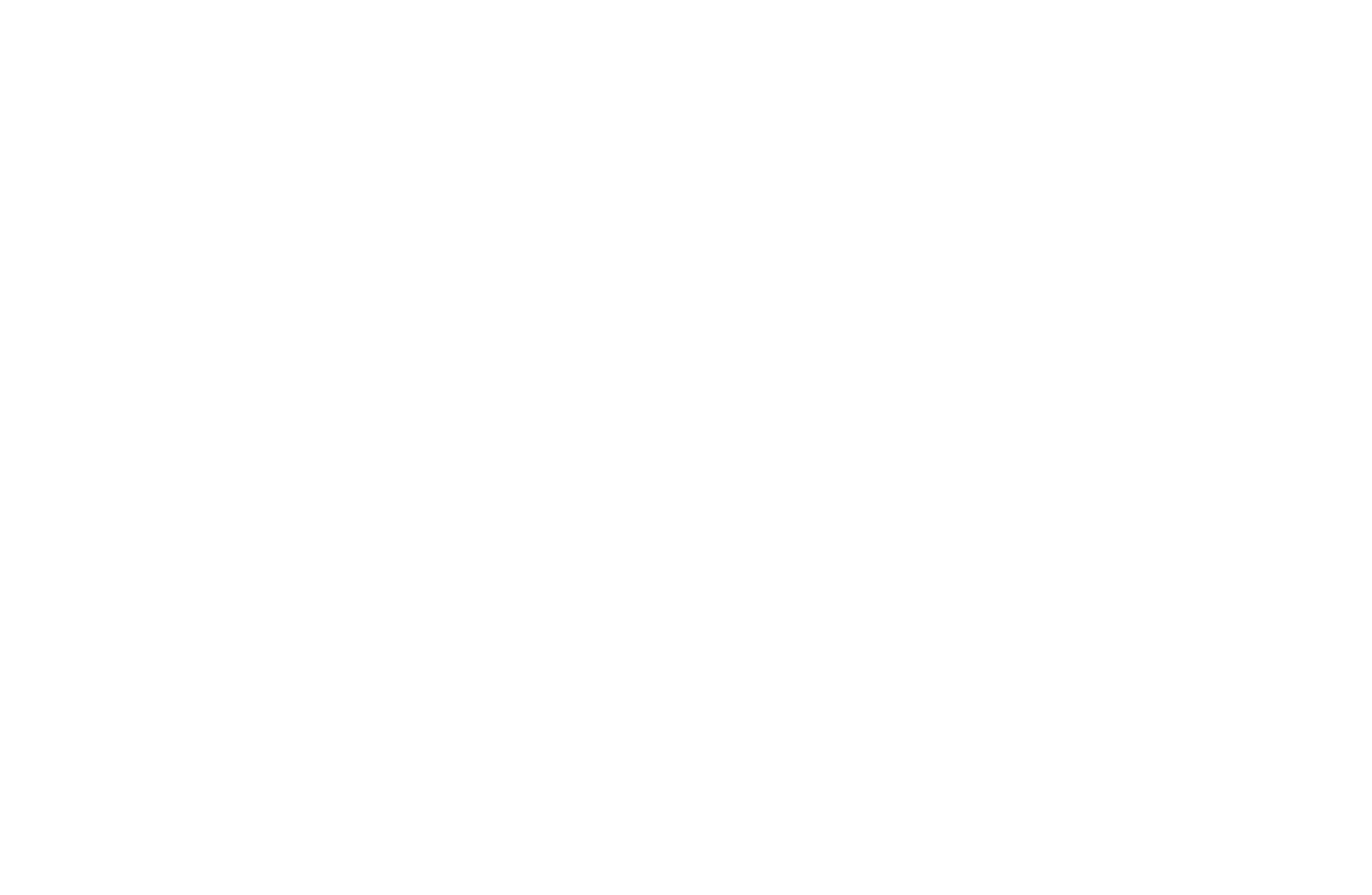 TOP HOTEL Localization Hospitalities